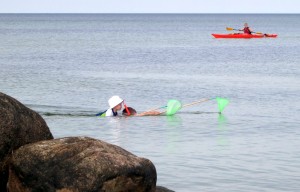 snorkling med børn, kræver ekstra fokus på sikkerheden