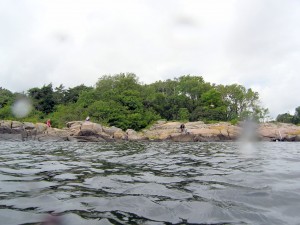 De Borholmske klipper er flotte at snorkle fra.