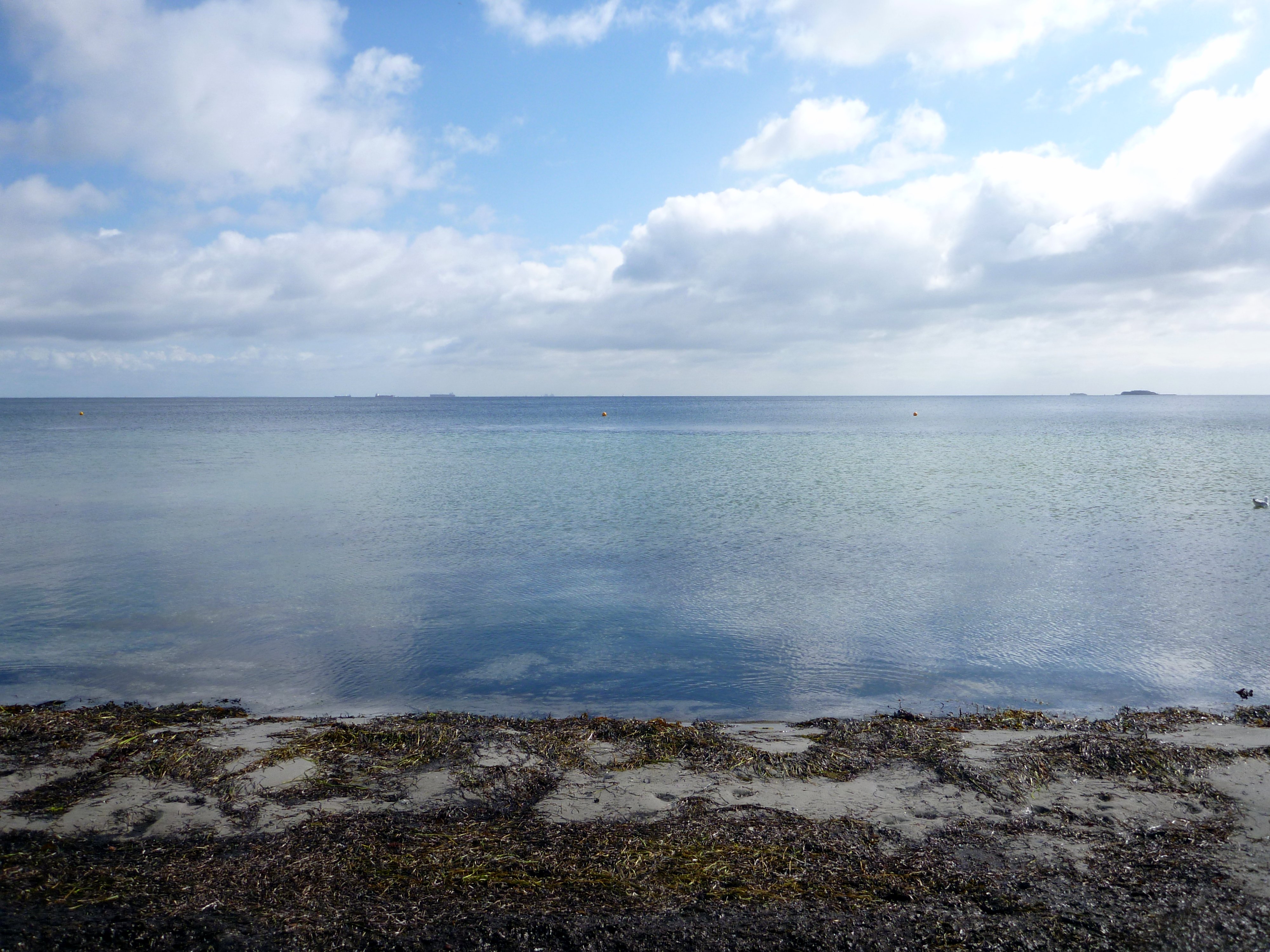 Svanemølle stranden på en stille dag