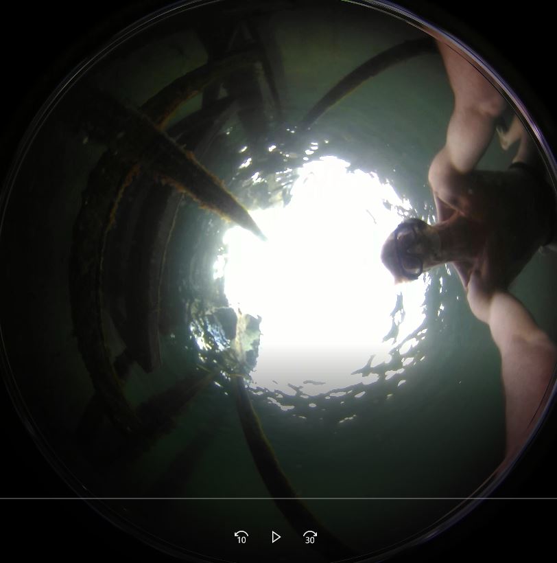 using a 360 video camera under water