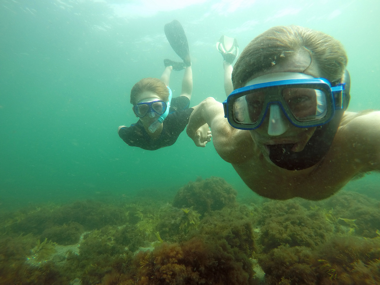 Far og søn holder hinanden i hånden på en snorkletur ved Hornbæk